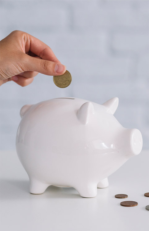 savings being placed in a piggy bank
